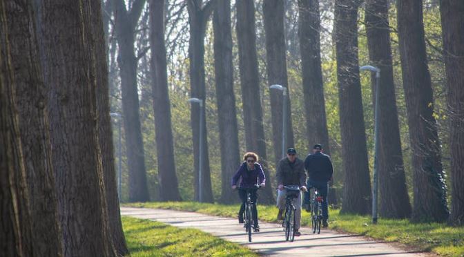 Glasservice Erkamp Glas Purmerend 